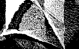Marc Marc - MarcMarc MD artist - BW-fa9009e0